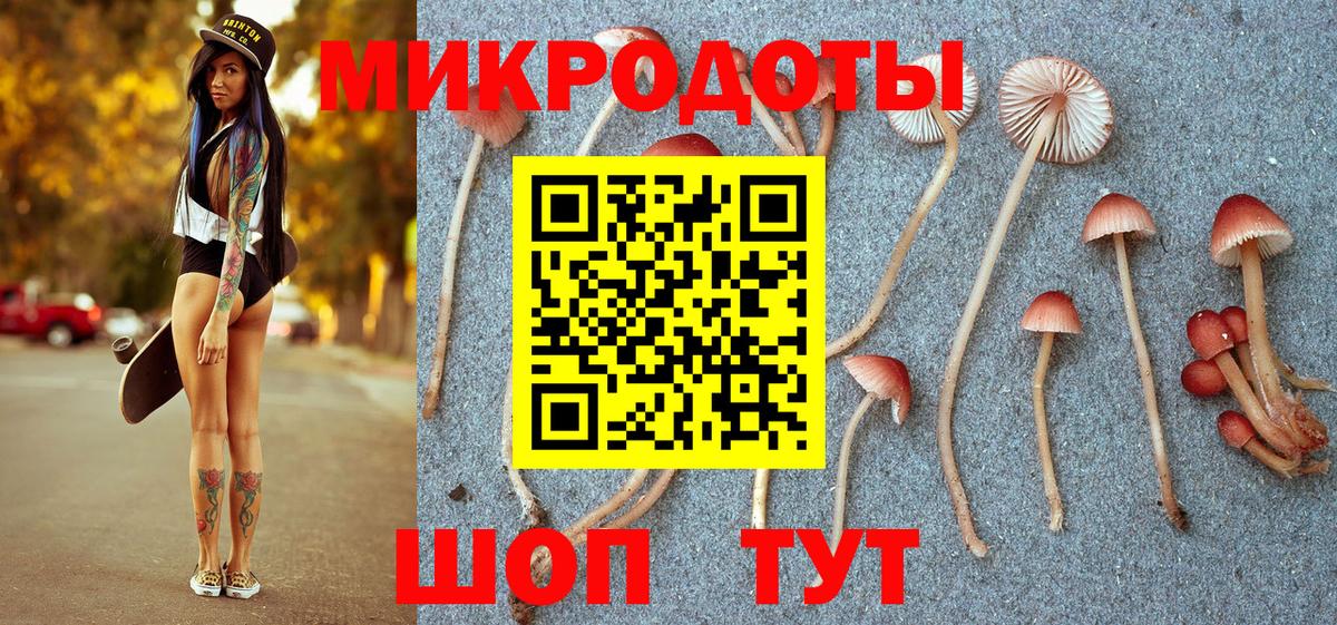 Галлюциногенные грибы мицелий  где найти   Берёзовский  Галлюциногенные грибы прущие грибы  Вход с VPN 